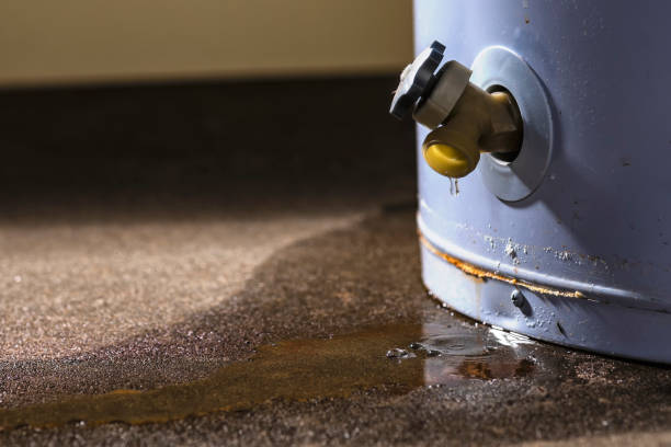 Best Emergency water damage restoration  in Rockdale, IL