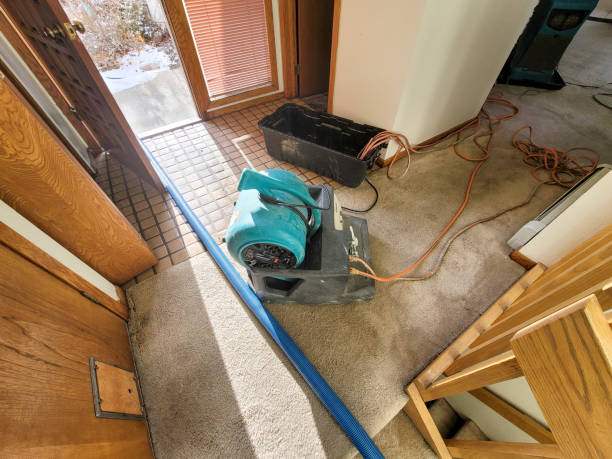 Best Water damage restoration near me  in Rockdale, IL