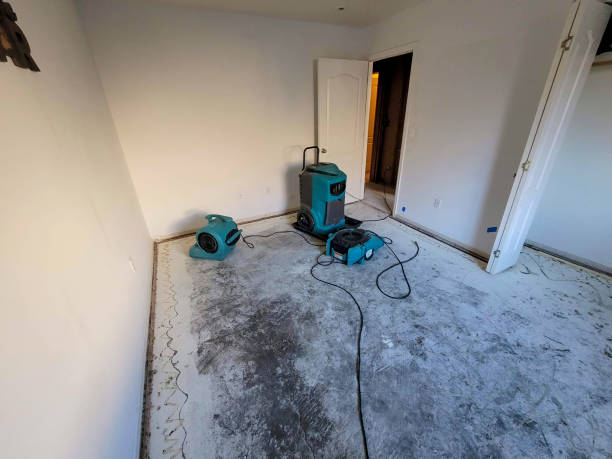 Best Carpet water damage restoration  in Rockdale, IL