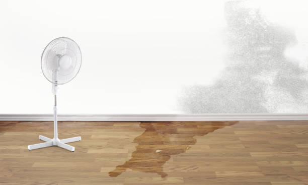 Best Sewage cleanup and water damage restoration  in Rockdale, IL