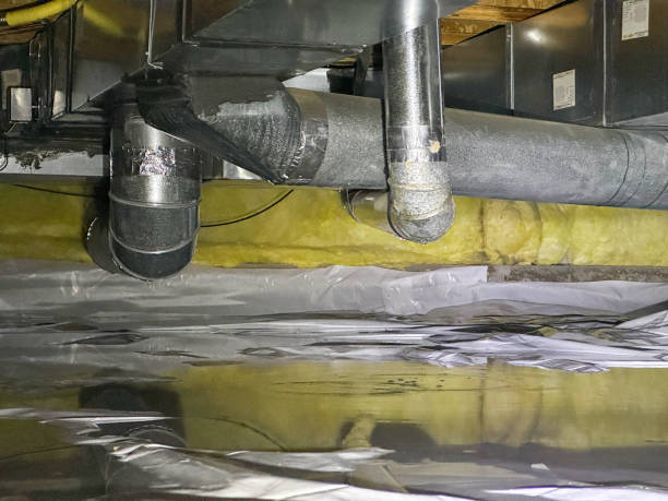 Best Water damage repair service  in Rockdale, IL