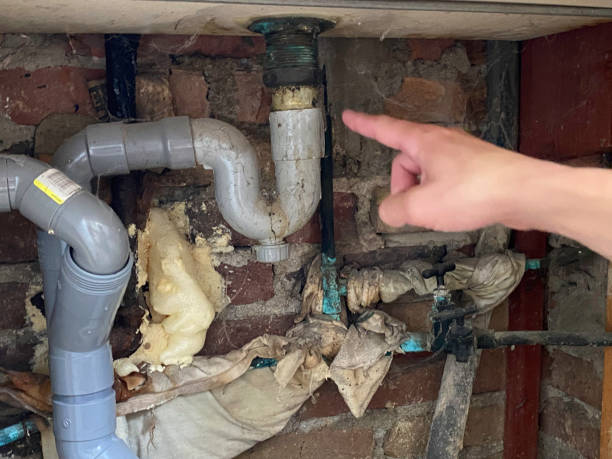 Best Professional water damage repair  in Rockdale, IL