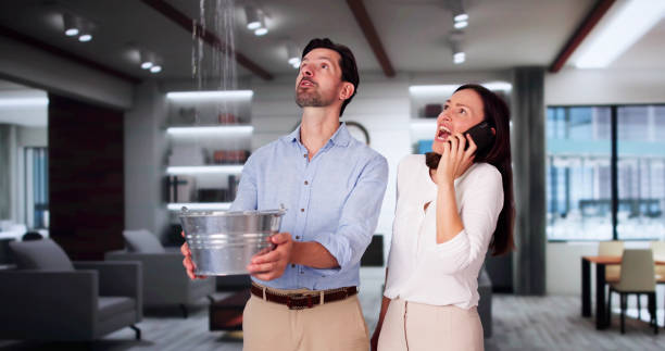 Best Fire Damage Restoration  in Rockdale, IL