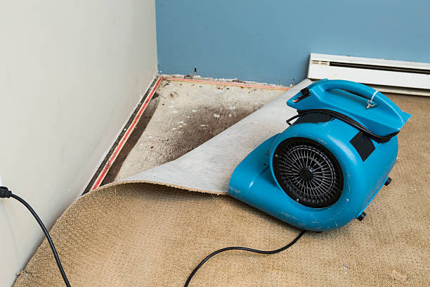 Best Ceiling water damage repair  in Rockdale, IL